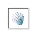 Picture of Watercolor shell III  _GroupedProduct_Square_Canvas_Framed_