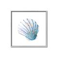 Picture of Watercolor shell III  _GroupedProduct_Square_Canvas_Framed_