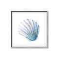 Picture of Watercolor shell III  _GroupedProduct_Square_Canvas_Framed_
