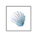Picture of Watercolor shell III  _GroupedProduct_Square_Canvas_Framed_