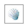 Picture of Watercolor shell III  _GroupedProduct_Square_Canvas_Framed_