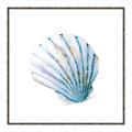 Picture of Watercolor shell III  _GroupedProduct_Square_Canvas_Framed_