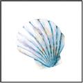 Picture of Watercolor shell III  _GroupedProduct_Square_Canvas_Framed_