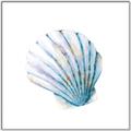 Picture of Watercolor shell III  _GroupedProduct_Square_Canvas_Framed_