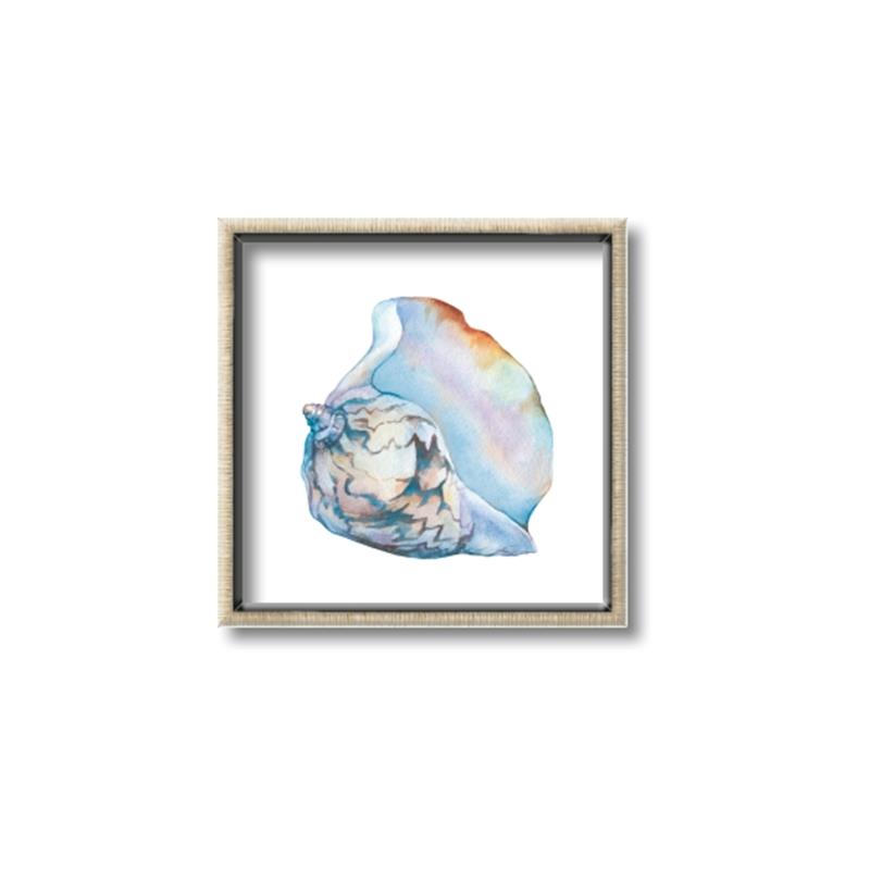 Picture of Watercolor shell I _GroupedProduct_Square_Canvas_Framed_