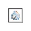 Picture of Watercolor shell I _GroupedProduct_Square_Canvas_Framed_