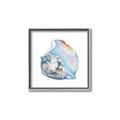 Picture of Watercolor shell I _GroupedProduct_Square_Canvas_Framed_