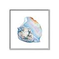 Picture of Watercolor shell I _GroupedProduct_Square_Canvas_Framed_