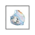 Picture of Watercolor shell I _GroupedProduct_Square_Canvas_Framed_