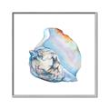 Picture of Watercolor shell I _GroupedProduct_Square_Canvas_Framed_