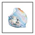 Picture of Watercolor shell I _GroupedProduct_Square_Canvas_Framed_