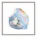 Picture of Watercolor shell I _GroupedProduct_Square_Canvas_Framed_