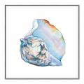 Picture of Watercolor shell I _GroupedProduct_Square_Canvas_Framed_