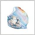Picture of Watercolor shell I _GroupedProduct_Square_Canvas_Framed_