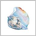 Picture of Watercolor shell I _GroupedProduct_Square_Canvas_Framed_