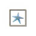 Picture of Watercolor shell II _GroupedProduct_Square_Canvas_Framed_
