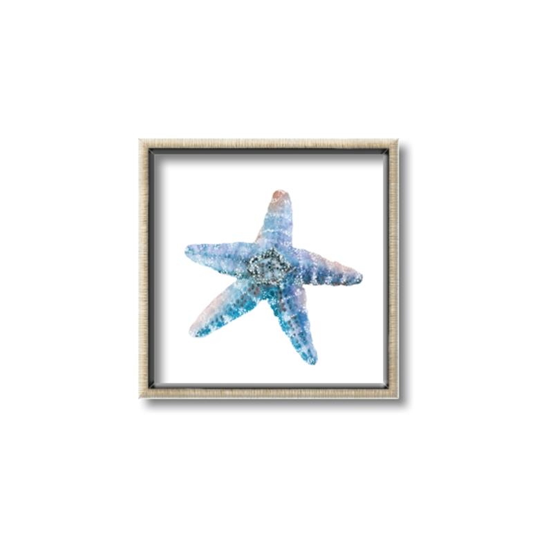 Picture of Watercolor shell II _GroupedProduct_Square_Canvas_Framed_