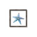 Picture of Watercolor shell II _GroupedProduct_Square_Canvas_Framed_
