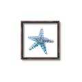 Picture of Watercolor shell II _GroupedProduct_Square_Canvas_Framed_
