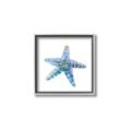 Picture of Watercolor shell II _GroupedProduct_Square_Canvas_Framed_