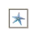 Picture of Watercolor shell II _GroupedProduct_Square_Canvas_Framed_
