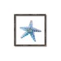 Picture of Watercolor shell II _GroupedProduct_Square_Canvas_Framed_