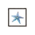 Picture of Watercolor shell II _GroupedProduct_Square_Canvas_Framed_