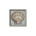 Picture of Vintage Shell I  _GroupedProduct_Square_Canvas_Framed_