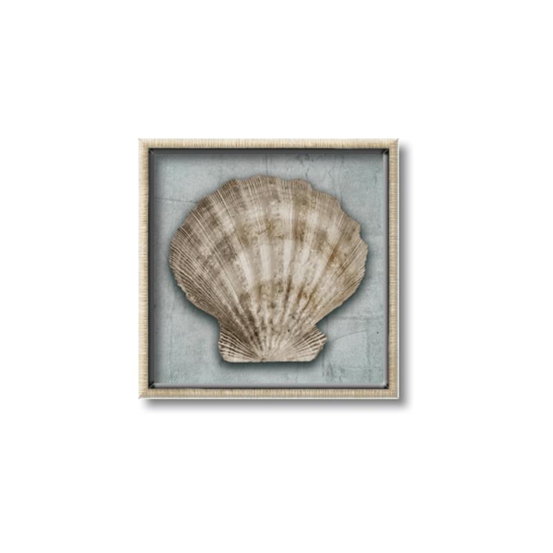 Picture of Vintage Shell I  _GroupedProduct_Square_Canvas_Framed_