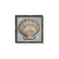 Picture of Vintage Shell I  _GroupedProduct_Square_Canvas_Framed_