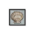 Picture of Vintage Shell I  _GroupedProduct_Square_Canvas_Framed_