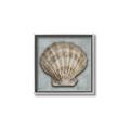 Picture of Vintage Shell I  _GroupedProduct_Square_Canvas_Framed_