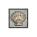 Picture of Vintage Shell I  _GroupedProduct_Square_Canvas_Framed_