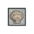Picture of Vintage Shell I  _GroupedProduct_Square_Canvas_Framed_