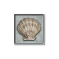 Picture of Vintage Shell I  _GroupedProduct_Square_Canvas_Framed_