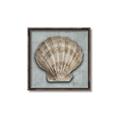 Picture of Vintage Shell I  _GroupedProduct_Square_Canvas_Framed_
