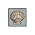 Picture of Vintage Shell I  _GroupedProduct_Square_Canvas_Framed_
