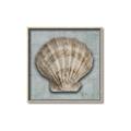 Picture of Vintage Shell I  _GroupedProduct_Square_Canvas_Framed_