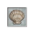Picture of Vintage Shell I  _GroupedProduct_Square_Canvas_Framed_