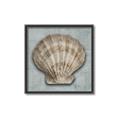 Picture of Vintage Shell I  _GroupedProduct_Square_Canvas_Framed_