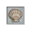 Picture of Vintage Shell I  _GroupedProduct_Square_Canvas_Framed_