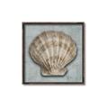 Picture of Vintage Shell I  _GroupedProduct_Square_Canvas_Framed_