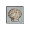 Picture of Vintage Shell I  _GroupedProduct_Square_Canvas_Framed_