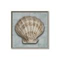 Picture of Vintage Shell I  _GroupedProduct_Square_Canvas_Framed_