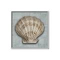 Picture of Vintage Shell I  _GroupedProduct_Square_Canvas_Framed_