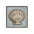 Picture of Vintage Shell I  _GroupedProduct_Square_Canvas_Framed_