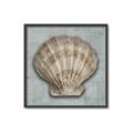 Picture of Vintage Shell I  _GroupedProduct_Square_Canvas_Framed_