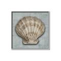 Picture of Vintage Shell I  _GroupedProduct_Square_Canvas_Framed_