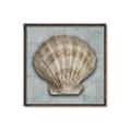 Picture of Vintage Shell I  _GroupedProduct_Square_Canvas_Framed_