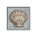 Picture of Vintage Shell I  _GroupedProduct_Square_Canvas_Framed_
